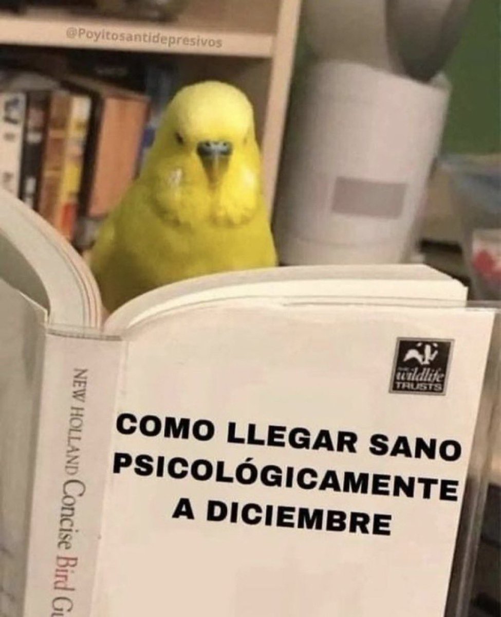 Frases Barbie tweet media