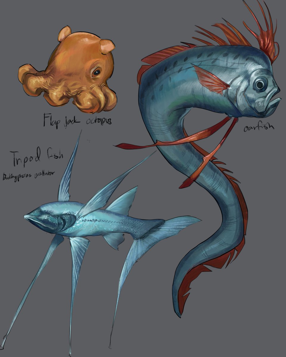 asstray80's tweet photo. yall js see a bunch of stupid lookin and say "I wanna draw that". I love stupid looking deep sea fish

#Illustration #doodle #digitalart #digitalillustration #deepseafish #fishart https://t.co/OHAlm0ho40