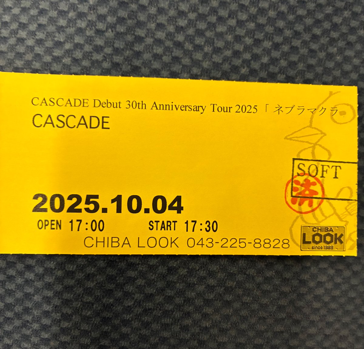saikyoboy's tweet image. CASCADEのライブ、夢みたいだった…子供の頃から観てたバンドを曲を至近距離で爆音で味わえて所々蕩けてた。時にPUNKすら飲み込んだゴリゴリのロックサウンドで新旧問わず爆上げさせてて本当に凄かった。そしてMASASHIさんが理想の兄貴過ぎて超感動。また是非千葉に!! 自分も絶対再訪するっ。#CASCADE