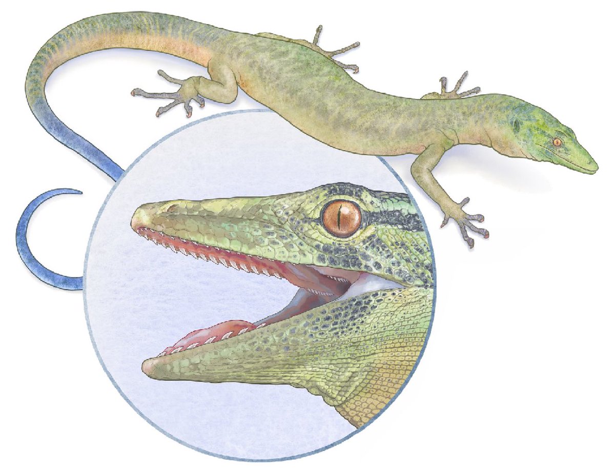 Ausarchosaur tweet media