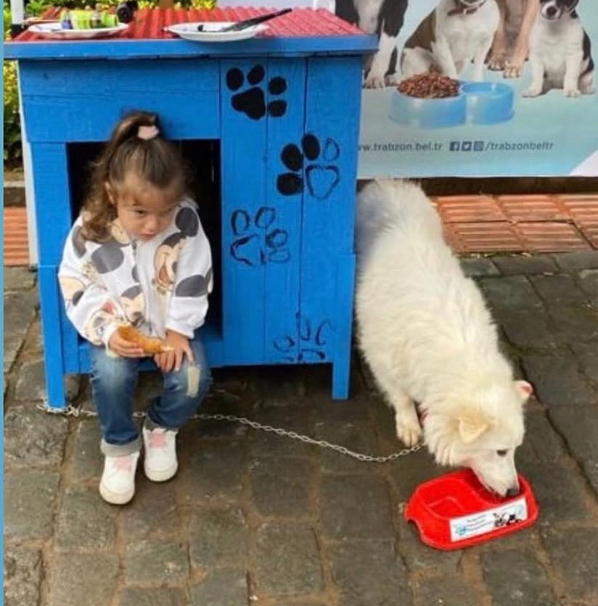 Dünyayı çocukların sevgi ve tutumu koruyacak…
4 Ekim Dünya Hayvanları Koruma Günü