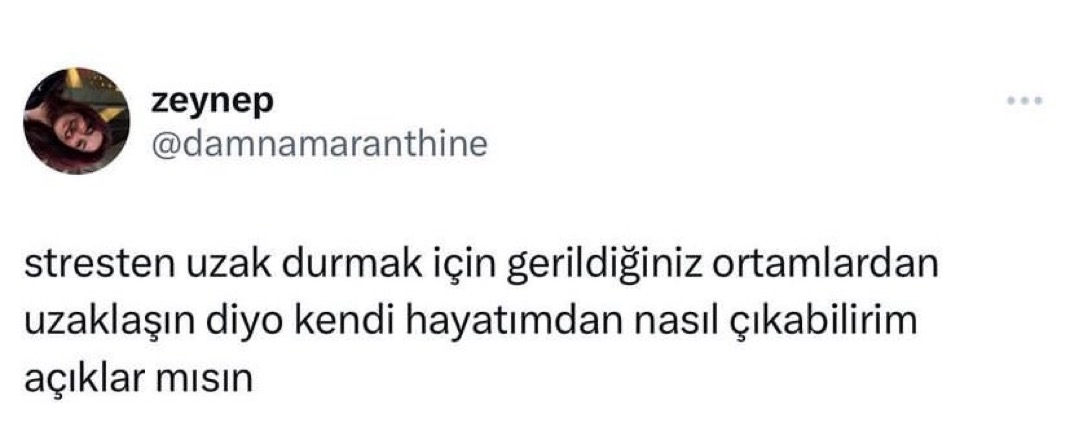 Alnı Öpülesi Tivitler (@alniopulesitivt) on Twitter photo 