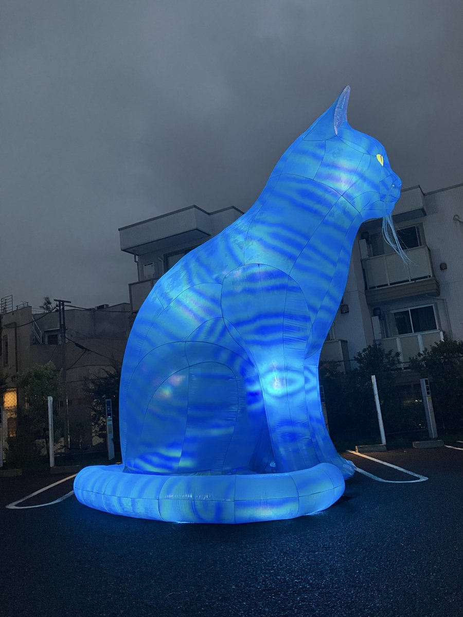 torayuyu's tweet photo. ムーンアートナイト下北沢。猫、すごく良い。 https://t.co/b9Yr5qB9Rk