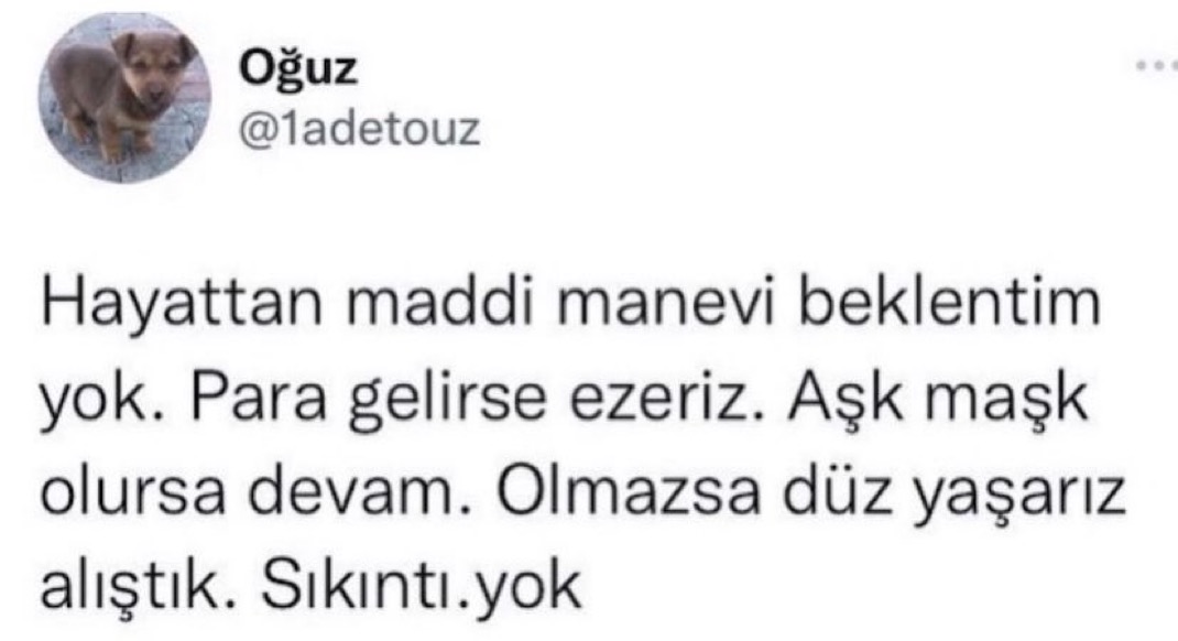alniopulesitivt's tweet photo. https://t.co/wETCyufDEE