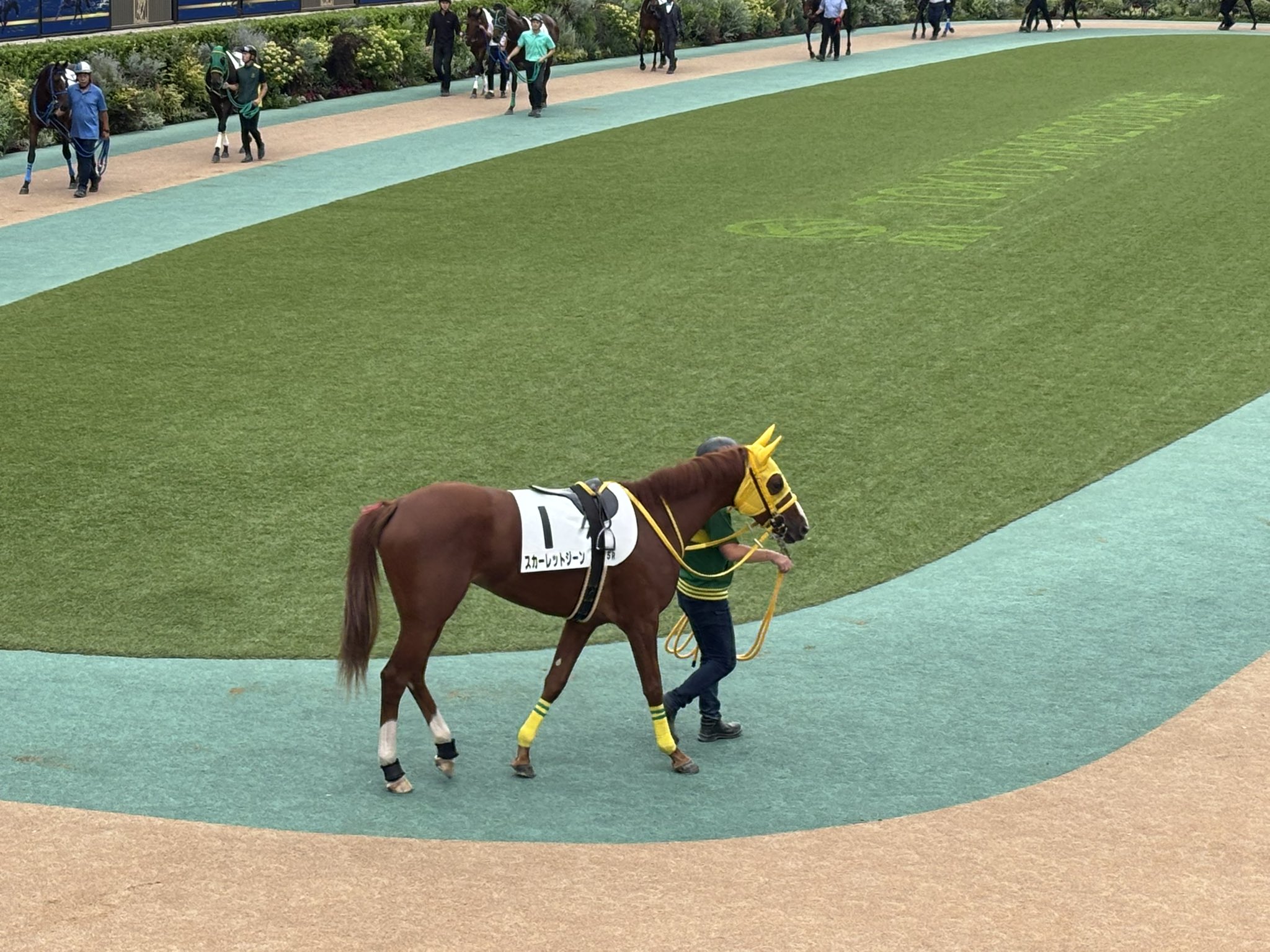 ダイワスカーレット】全G I馬券セット(全現地的中／4枚)