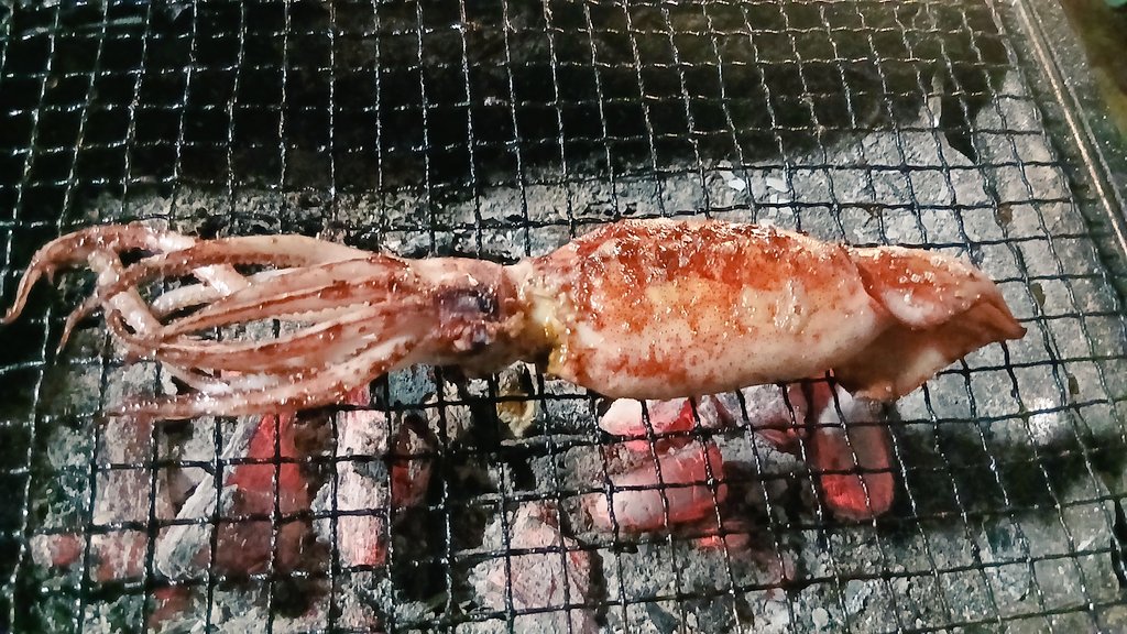 takelalapo's tweet photo. さっきまで花火の音🎆聞こえましたが🎇🙄今晩はお家でBBQ ！🔥🥩🐔🦑これは飲むっきゃないでしょ乾杯です🍻✨😆💕

#��日の晩ごはん
#アルコール解禁
#備忘録✏️
#手羽先🐔
#和牛🐮
#スルメイカ🦑
#飲み過ぎ注意 https://t.co/6TvOUH2hGw