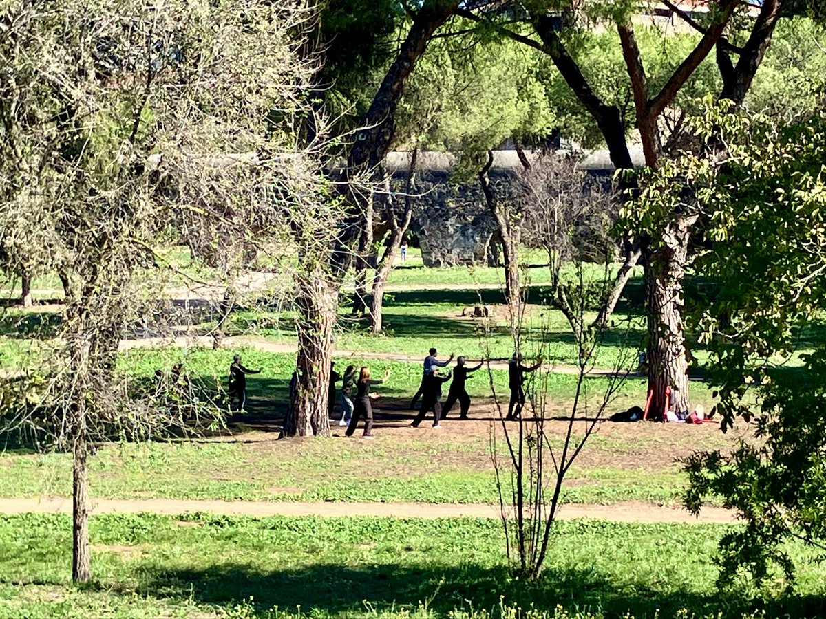 NeysunM's tweet image. Tai chi mattutino nel parco dell&apos;acquedotti