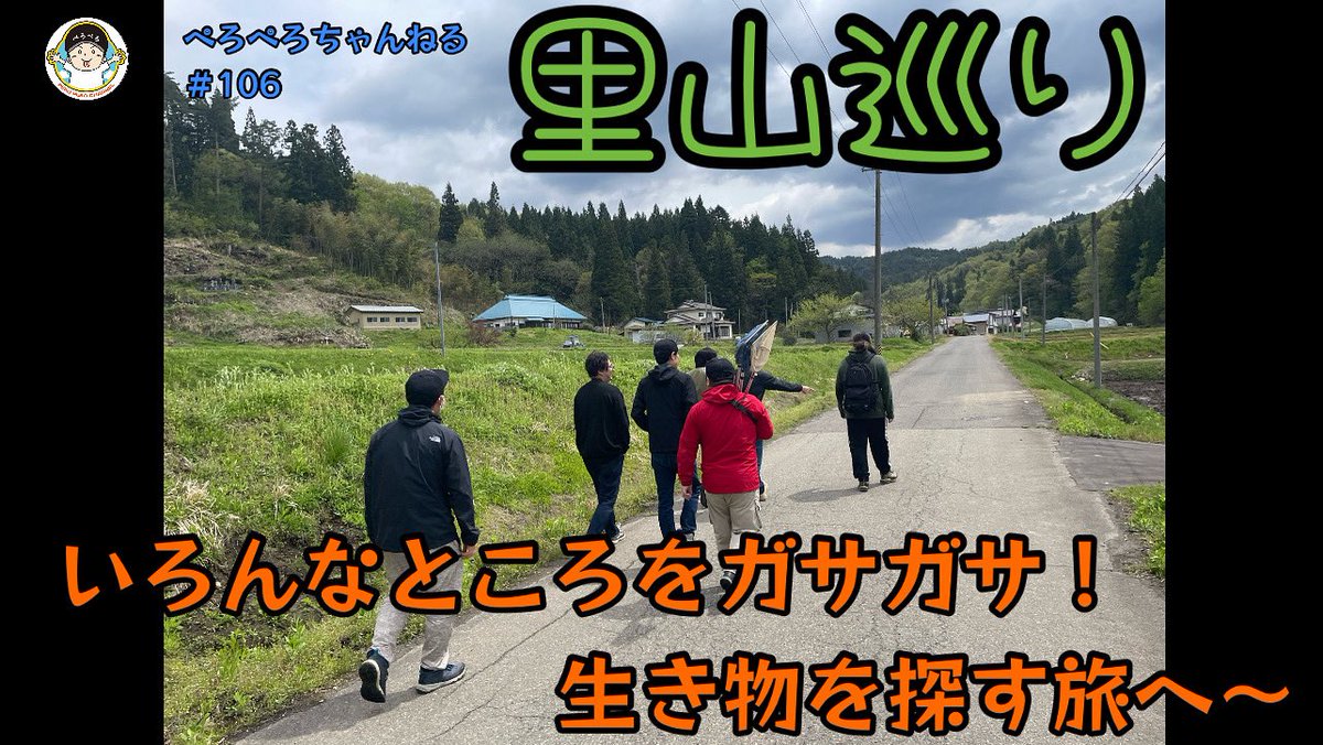 peroperodazo's tweet photo. ぺろぺろちゃんねる第106弾ッ

福島県の里山ガサガサ巡り🌳
はたしてどんな生き物に出会えるかな？

チャンネル登録＆高評価よろしくお願いします🙇

動画https://t.co/xmKcQbS5Tv…

#ぺろぺろちゃんねる
#PeroPeroChannel 
#福島県 
#fukushima 
#生き物 
#採集 https://t.co/OOj1mO9cnr