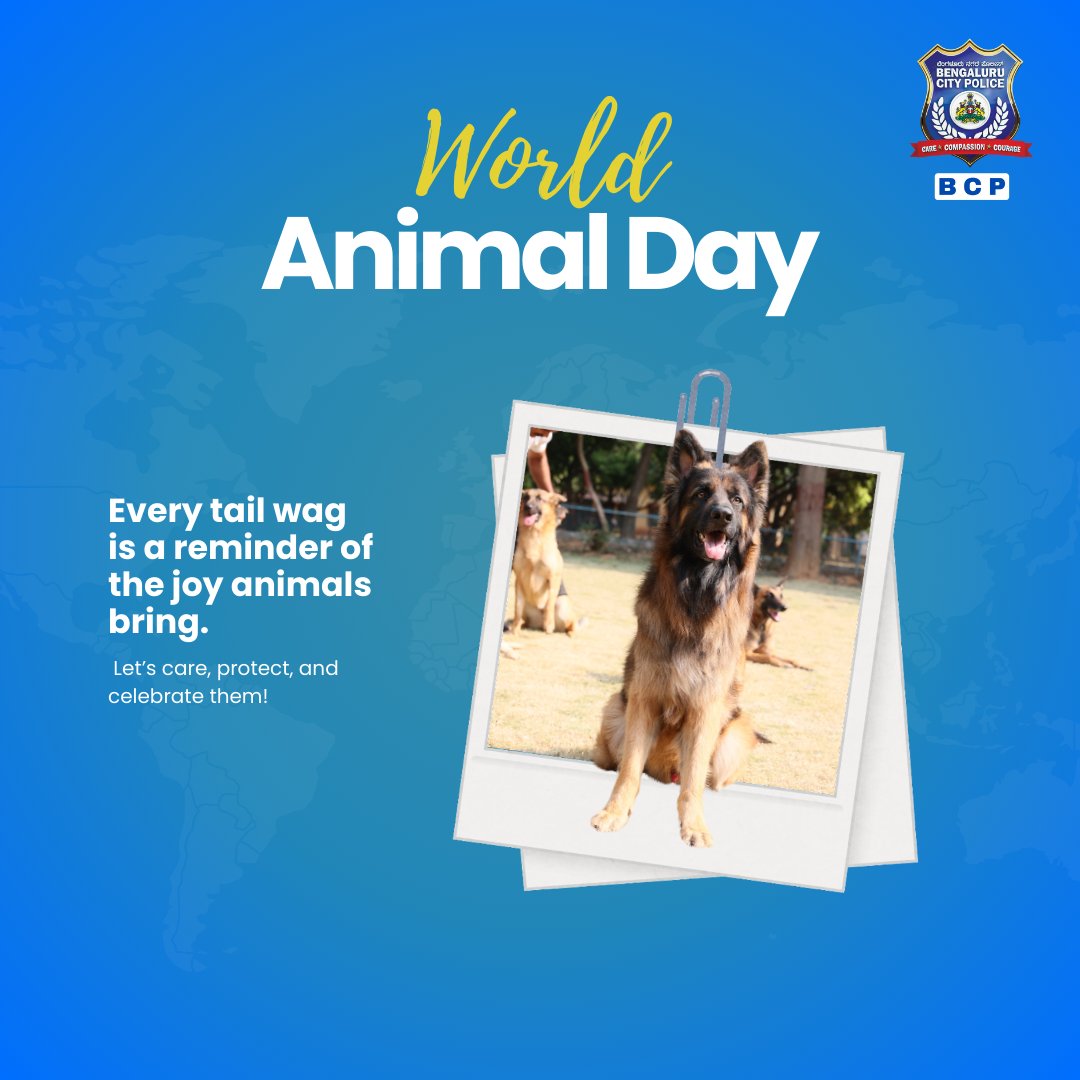 BLRK9Cops's tweet image. ಅವುಗಳು ನಮ್ಮ ಭಾಷೆಯನ್ನು ಮಾತನಾಡುವುದಿಲ್ಲ, ಆದರೆ ಅವು ನಮ್ಮ ಸಹಾನುಭೂತಿ ಯನ್ನು ಅರ್ಥಮಾಡಿಕೊಳ್ಳುತ್ತವೆ.
&apos;ವಿಶ್ವ ಪ್ರಾಣಿ ದಿನ&apos;ದಂದು, ಮನುಷ್ಯರು ಮತ್ತು ಪ್ರಾಣಿಗಳಿಗೆ ಸುರಕ್ಷಿತ ನಗರಕ್ಕಾಗಿ ಒಟ್ಟಾಗಿ ಕೆಲಸ ಮಾಡೋಣ.

They don’t speak our language, but they understand our kindness.
On World Animal Day, let’s work…