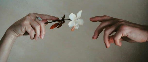 Mindtutorials's tweet image. Holding grudges drains your focus.
Forgiveness frees your mind to win faster.