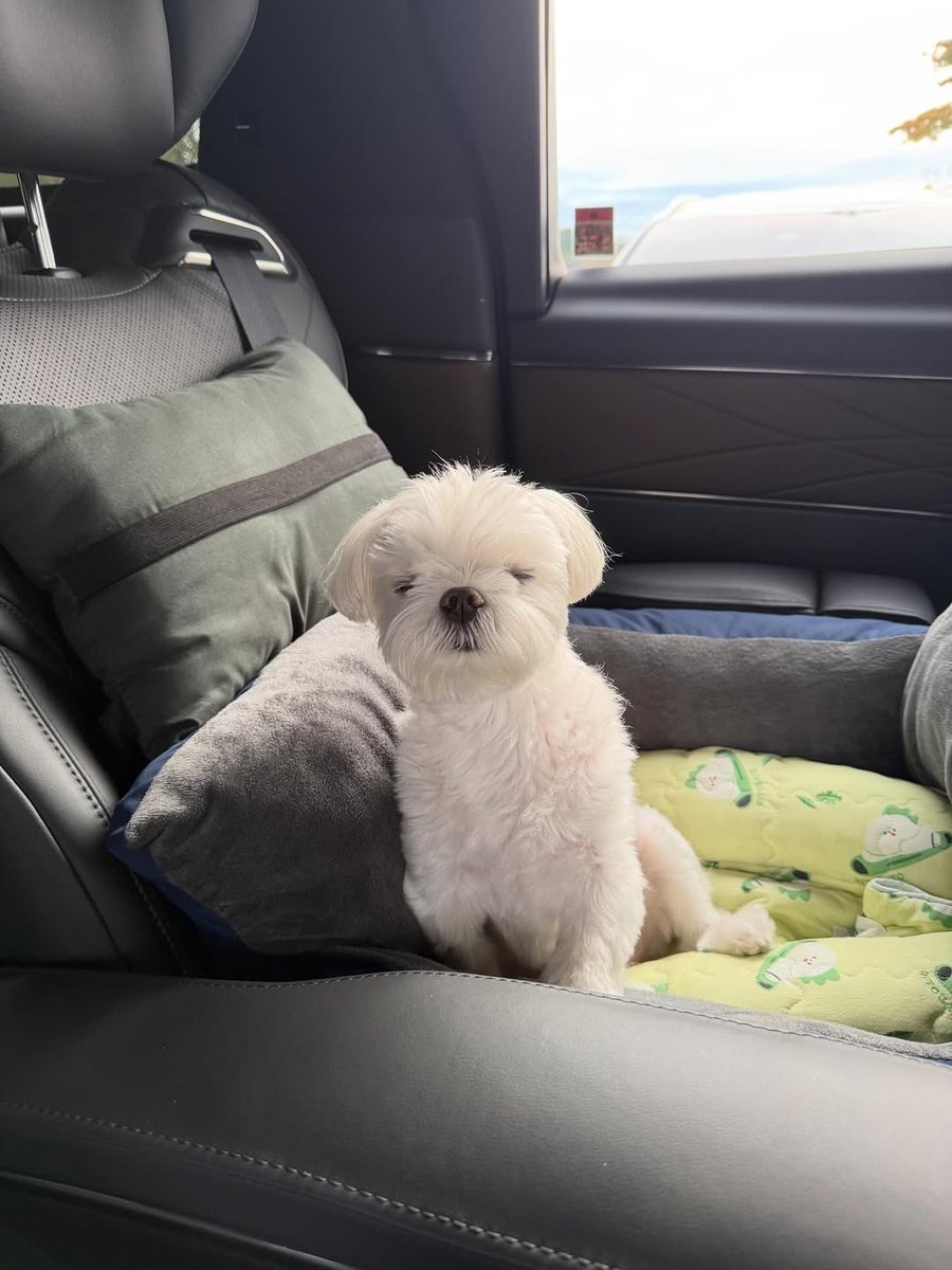 sonyejinbr's tweet photo. yejinhand via instagram:

Nesse Chuseok, assista No Other Choice 🥰
A razão pela qual você deve assistir No Other Choice 😌 deixe nos comentários por favor 🩷

#SonYejin https://t.co/DaitYSVcri