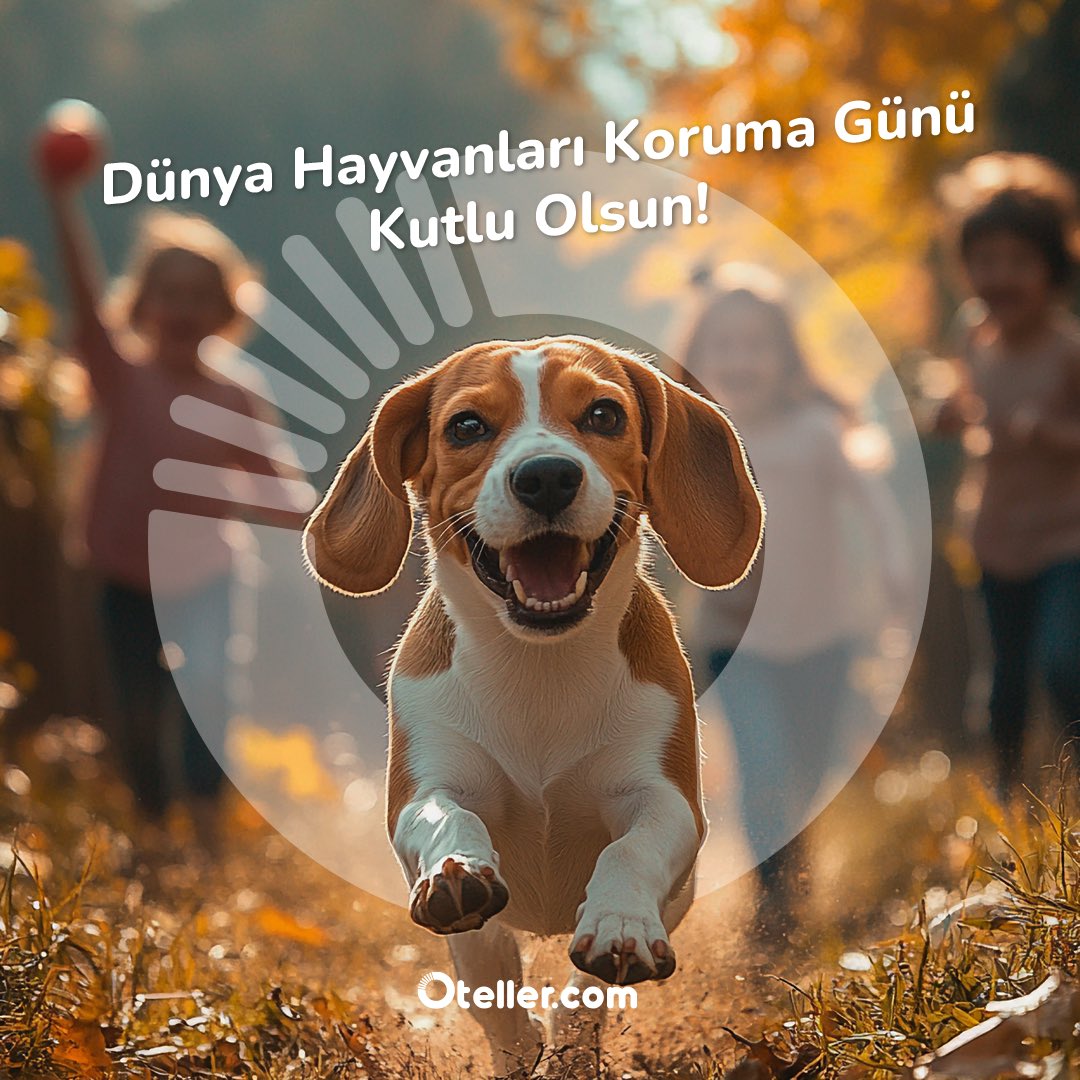 otellercom's tweet photo. Onlar, sessiz ama kalplerde iz bırakan kahramanlar. Bugün, bu dünyayı onlarla paylaştığımız için ne kadar şanslı olduğumuzu hatırlama günü.

4 Ekim Dünya Hayvanları Koruma Günü Kutlu Olsun!

#4EkimDünyaHayvanlarıKorumaGünü https://t.co/VGJAh1OvwS