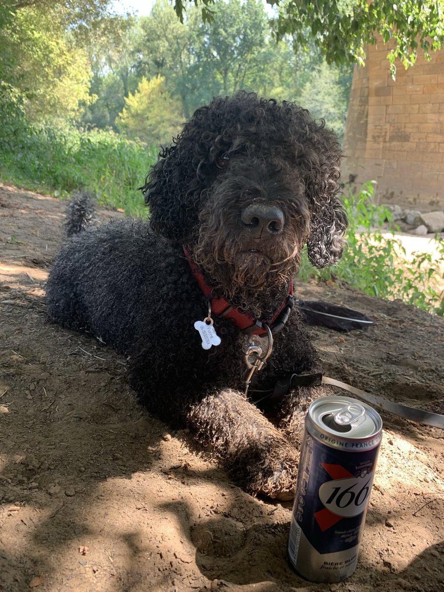 Fons d'Haens tweet media