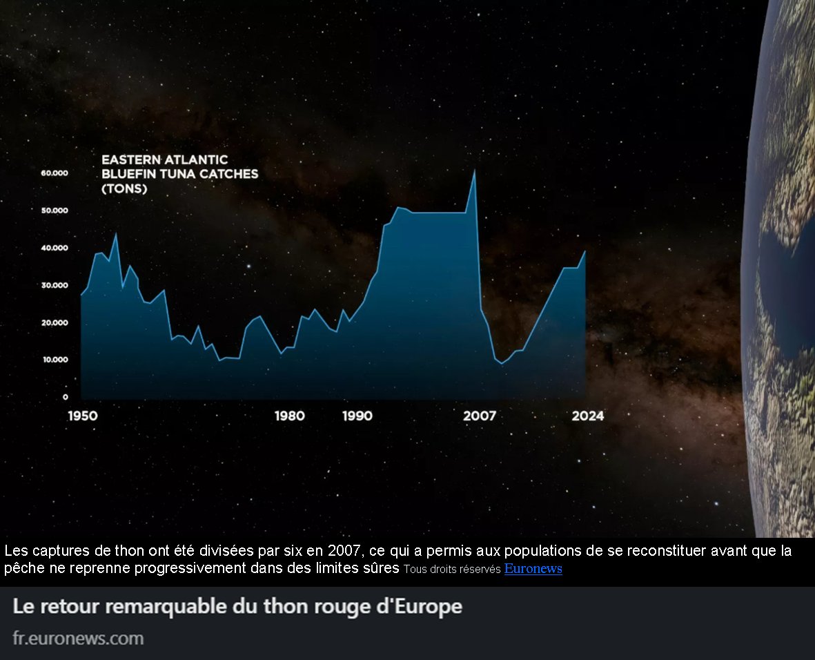 From near extinction to a symbol of resilience — Europe’s #BluefinTuna is back. Strict quotas and science-driven action turned crisis into recovery. Can this success story last? 🌊 #Sustainability #Oceans fr.euronews.com/green/2025/09/…