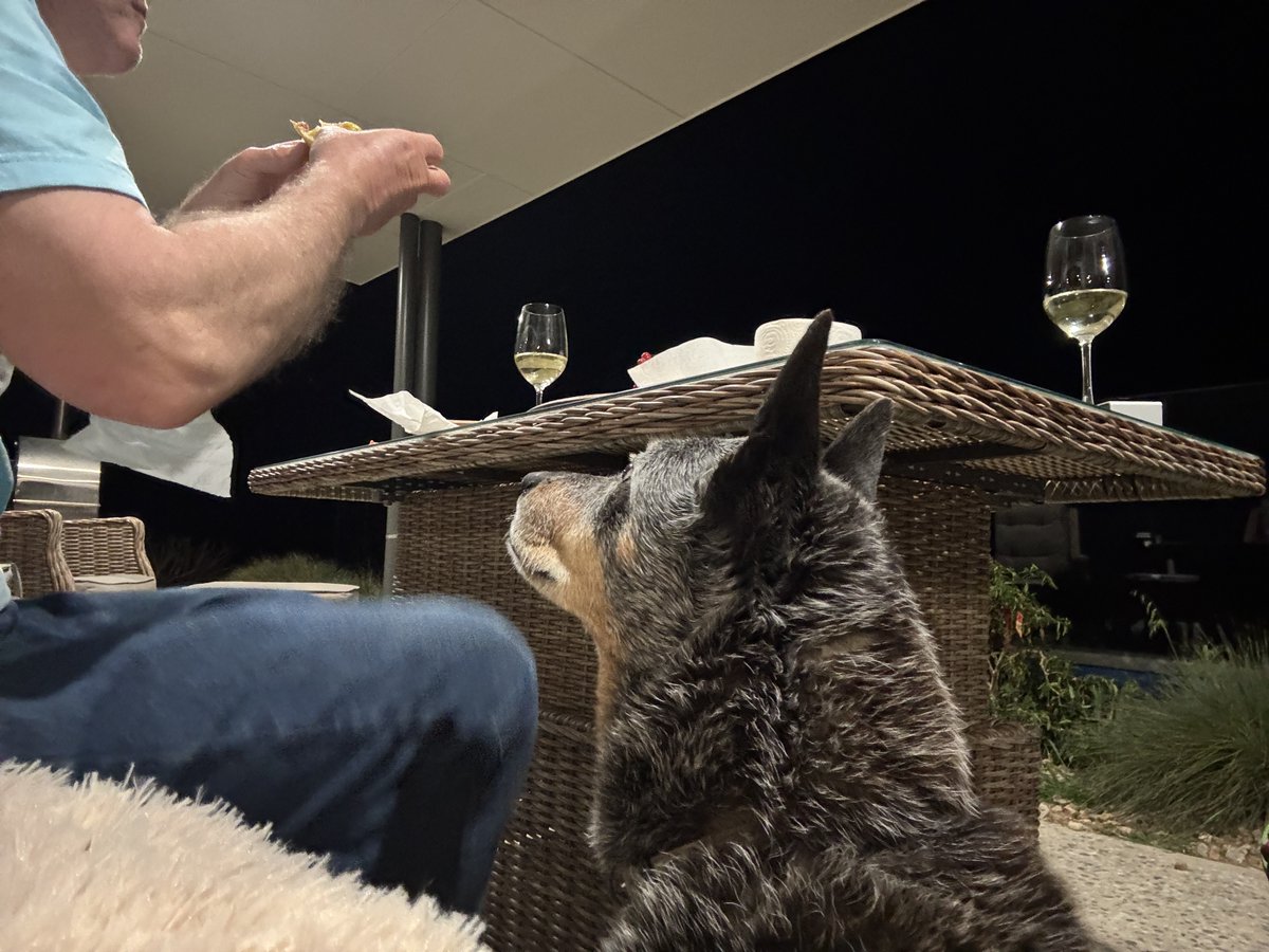 Calliss Clan (@callissclan.bsky.social) tweet media