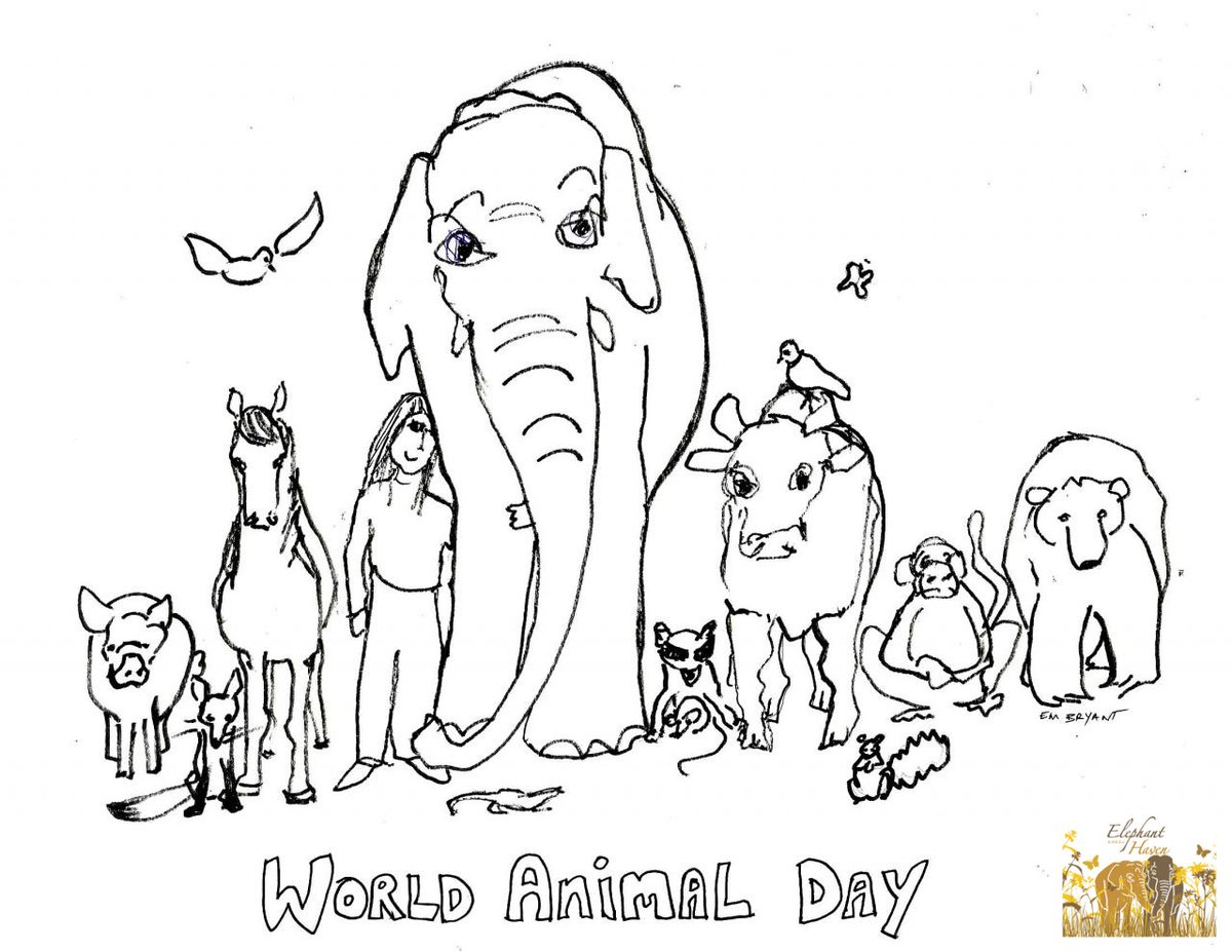 4 October ... World Animal Day
Let's take care of each other!!
Image: Em Bryant