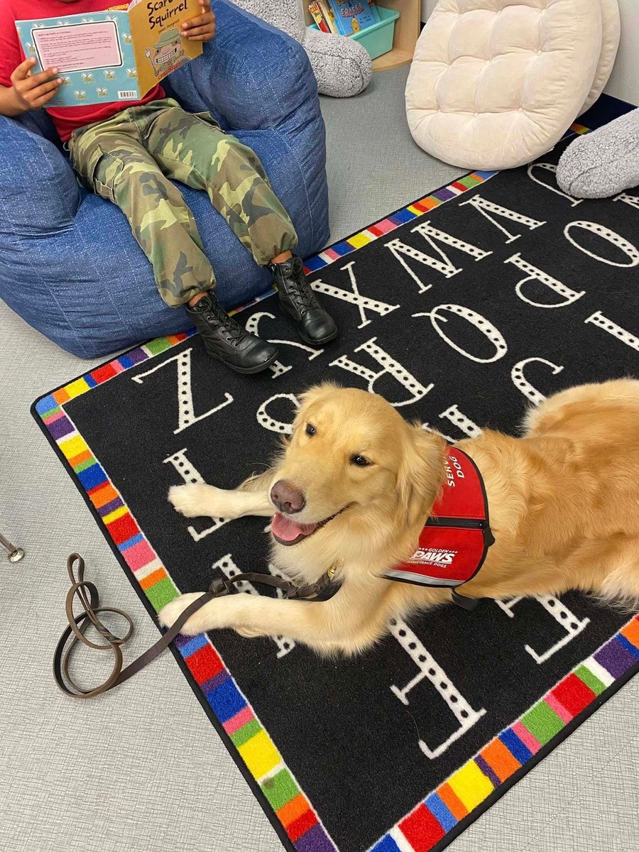 PAWSDogs_Naples's tweet photo. Golden PAWS cadets Dana and Sami, along with volunteer handlers Bill and Claire, had a wonderful outing at New Beginnings Alternative School this week! 🐾✨=

#GoldenPAWSAssistanceDogs #GoldenPAWS #ServiceDogsForVeterans #GiveADogAJob #GoldenJourney #RespectTheVest https://t.co/mciJpHOGZ3
