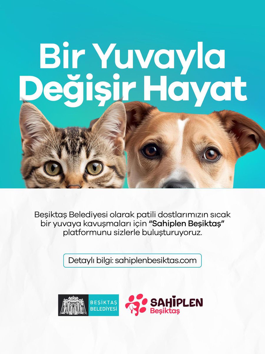 Beşiktaş’ta patili dostlarımızı sevgi dolu yuvalara kavuşturuyoruz. 🐾 

4 Ekim Dünya Hayvanları Koruma Günü’nde sahiplenbesiktas.com sitemizi komşularımızla buluşturmanın mutluluğunu yaşıyoruz.

Can dostlarımızın yaşam hakkını savunmaya, onlar için çalışmaya devam edeceğiz.