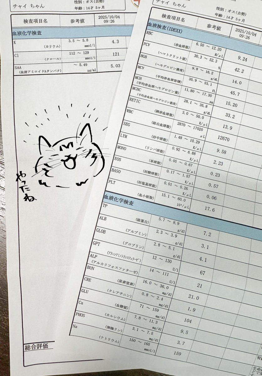 ミニ色紙(300円)をご希望の方に抽選券をお渡しします。誰の抽選券を