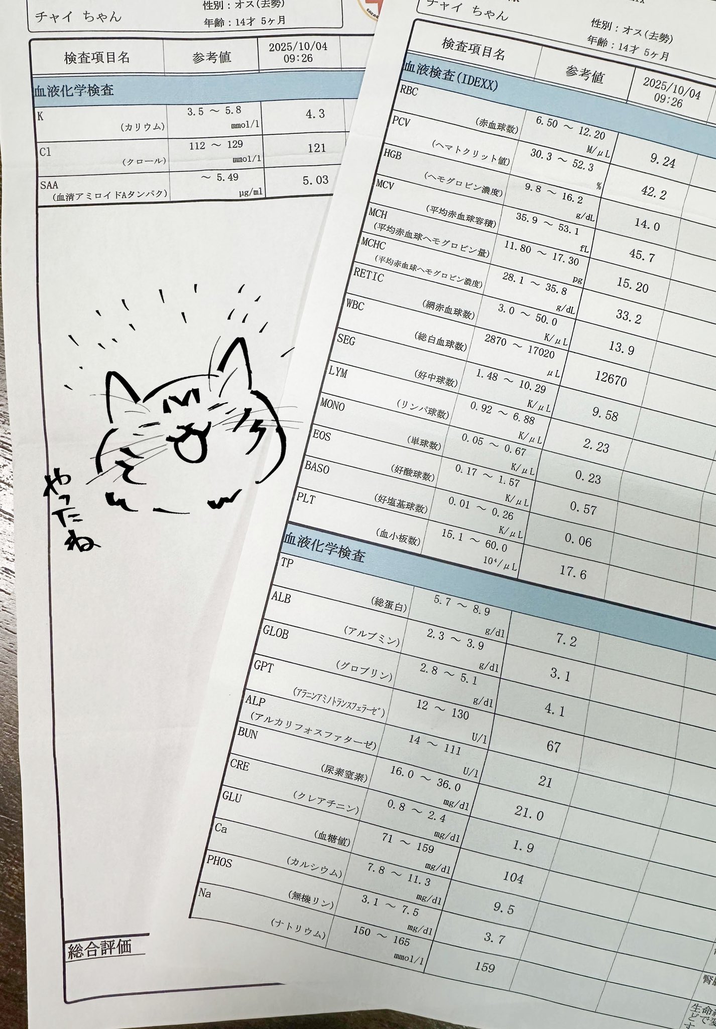 あさのおまけ　ご確認ページ コジコジ ボールペン（コジコジ顔） cojicoji KG-BP041