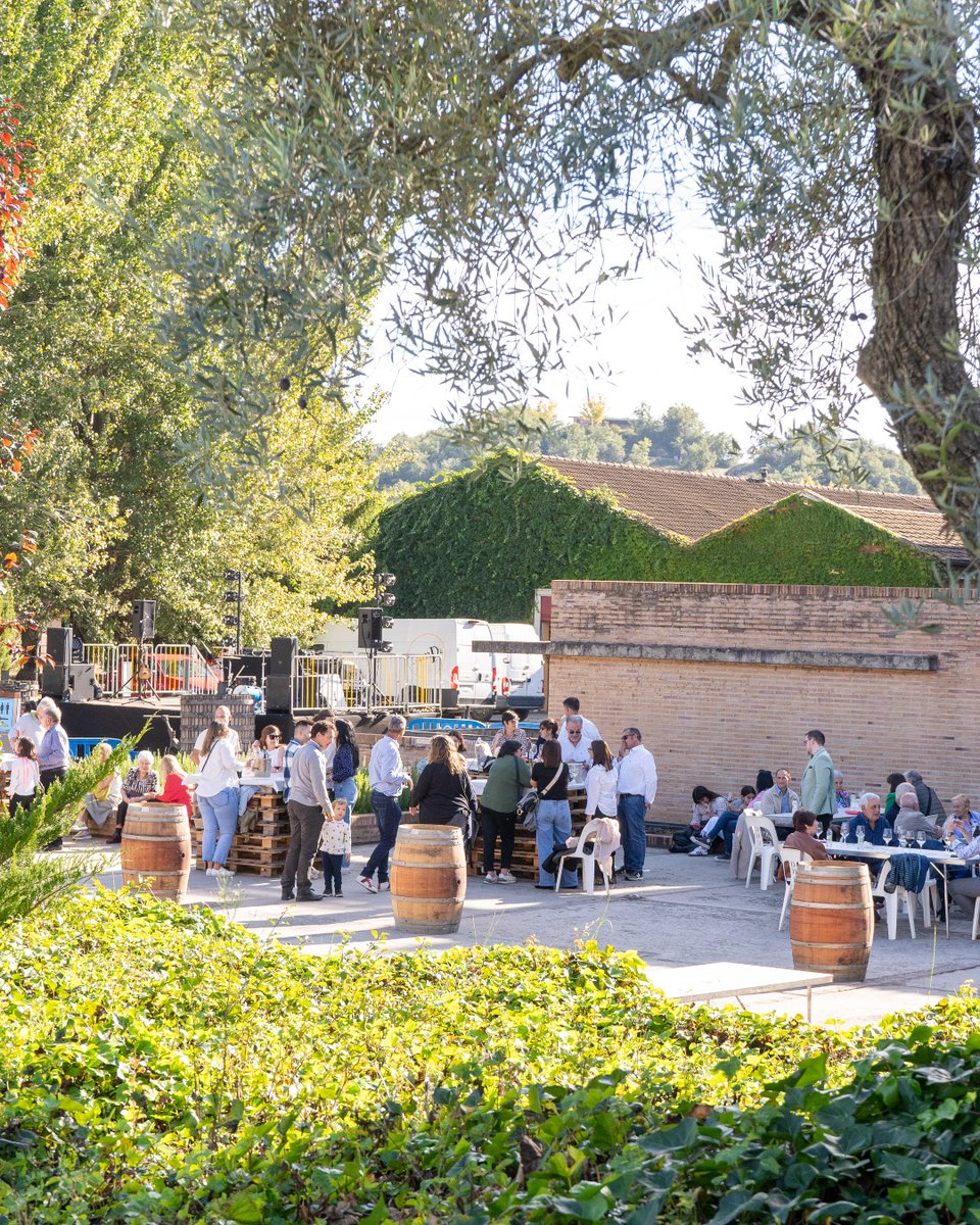 ⏳ Tic tac... ¡Vamos descontando hojas en el calendario!
¿Tienes ya tu entrada para la Rematadura?
¡Entra en el link de la Bio y hazte con la tuya!

@colombomusicman <a href="/losinvadersband/">Los Invaders</a> @apolowhite_