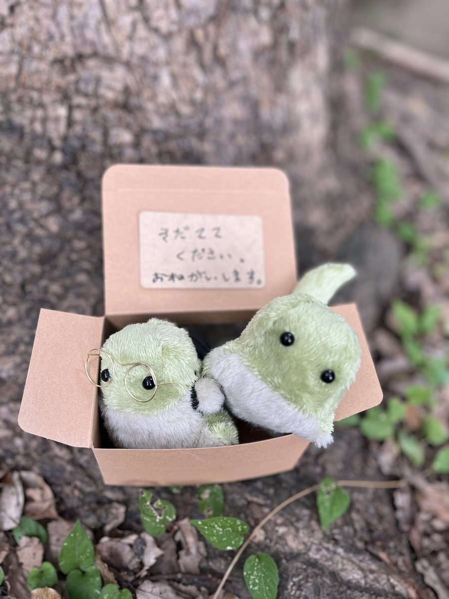 3wayaway's tweet photo. 10/12(日)出店させていただきます✨

保護中の龍の赤ちゃんもたくさん連れて行きますので、ぜひ会いに来てください…！
#東映太秦映画村
#怪々YOKAI祭2025 https://t.co/j5SlPY86li