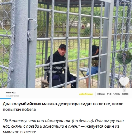 Гиперборей (@damrespecter) on Twitter photo 