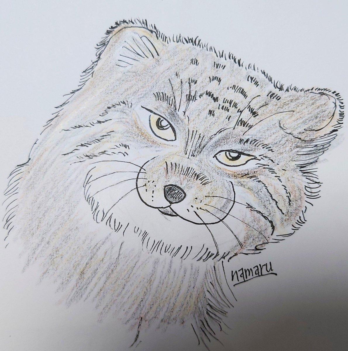 kayo2123's tweet photo. #世界動物の日
#オリジナルイラスト https://t.co/8Sjp9N9kEv