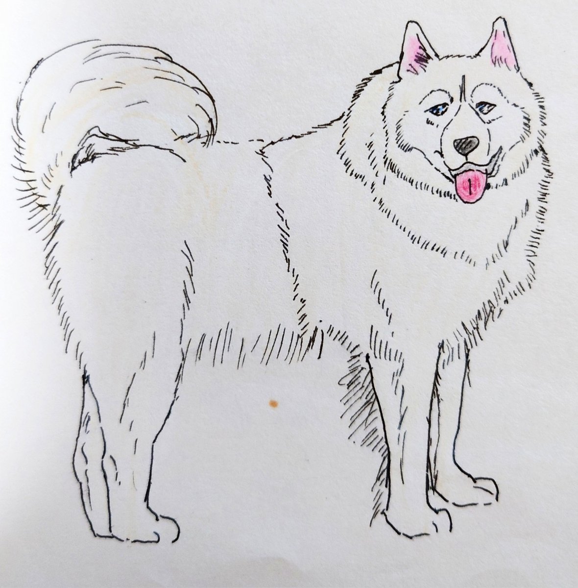kayo2123's tweet photo. #世界動物の日
#オリジナルイラスト https://t.co/8Sjp9N9kEv