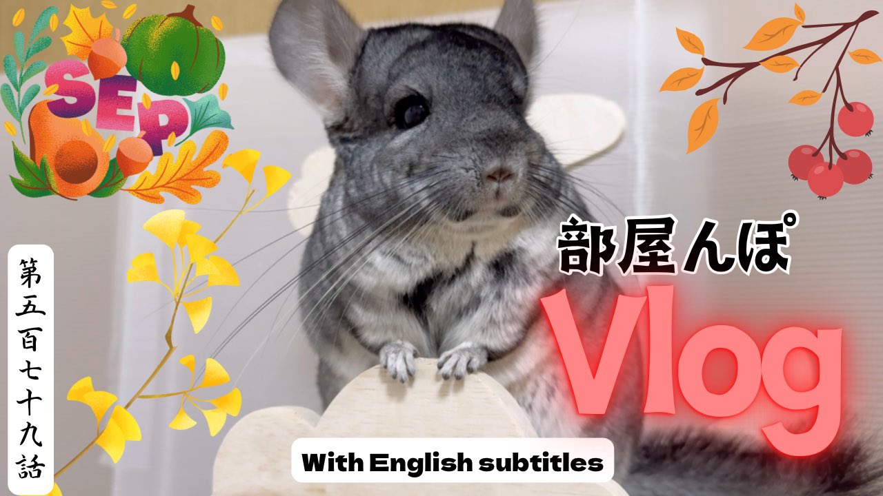 FOXEY チンチラ FOXEY フォクシー✨チンチラファー付きシルク100%ロングコート