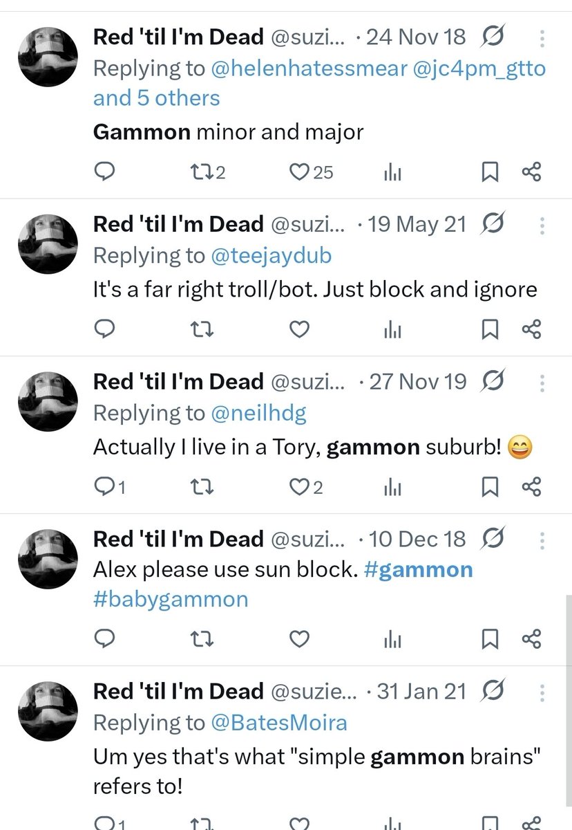 Rebartic's tweet photo. @suziegeewizz Even before I executed the search, I knew you'd be a frothing at the mouth,  low IQ, racist dimwit. https://t.co/5W2SOr9BSz