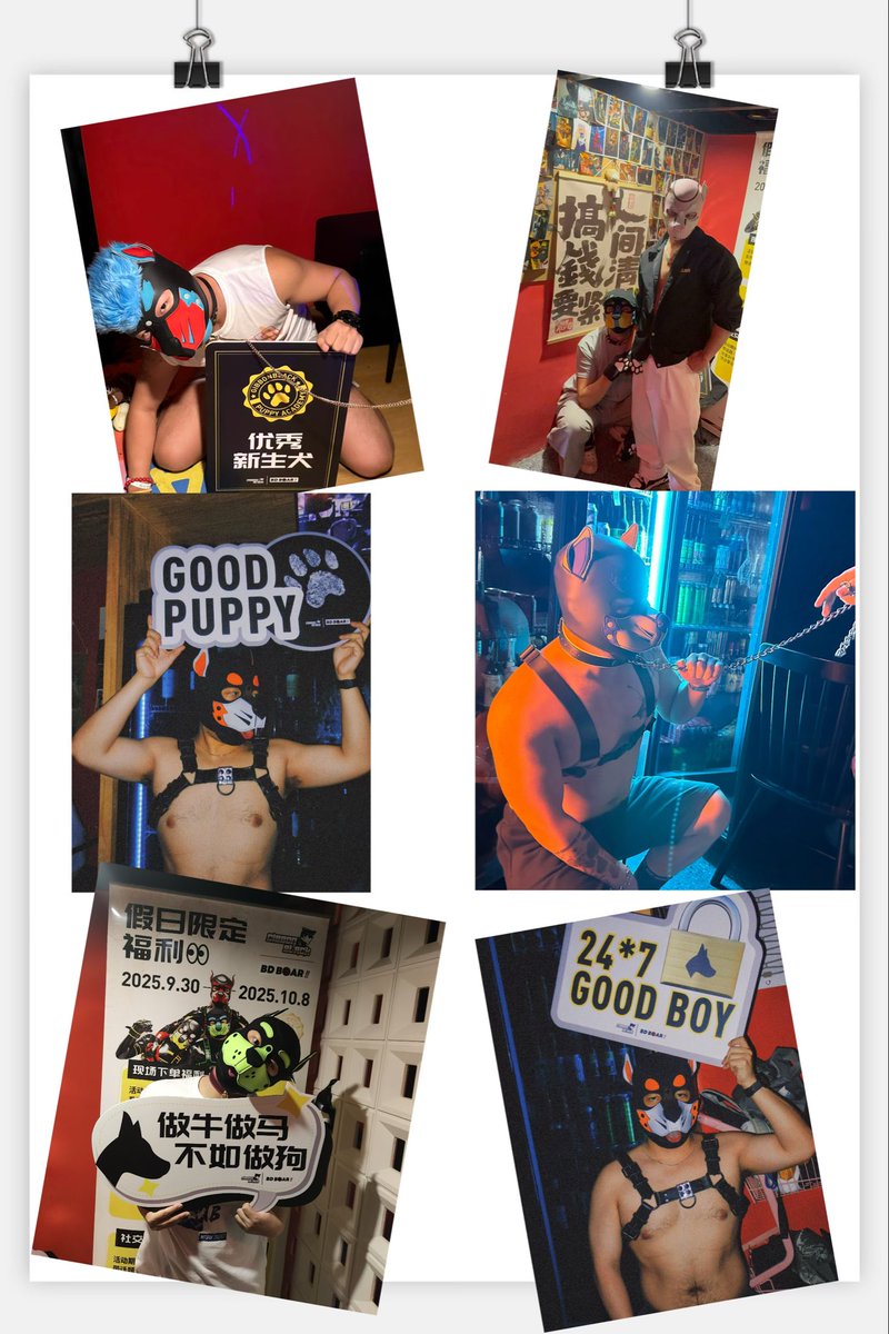 林迦💫ⓁⒾⓃⒼⒶ tweet media