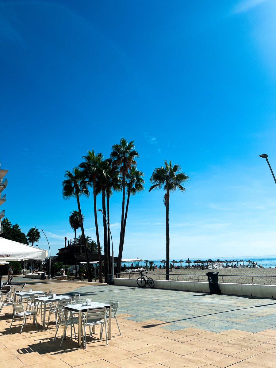 Twilty 🥷🏼 (@0xtwilty) on Twitter photo Gm Spain.☀️🇪🇸 Gm Spain.☀️🇪🇸