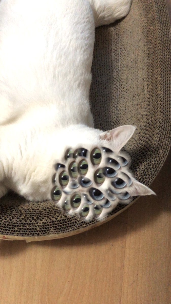 黄推福利内容 - 吊丝尸块姐的精彩图片 福利姬吊丝尸块姐分享的黄推图片4 - 网红私拍内容