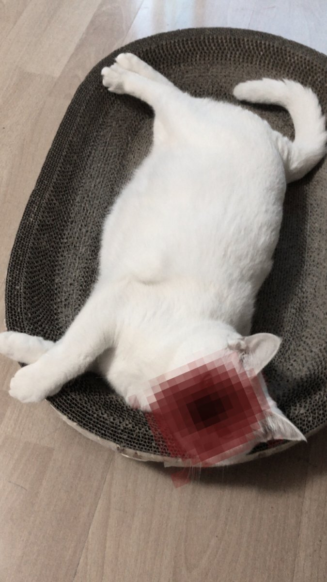 黄推福利内容 - 吊丝尸块姐的精彩图片 福利姬吊丝尸块姐分享的黄推图片2 - 网红私拍内容