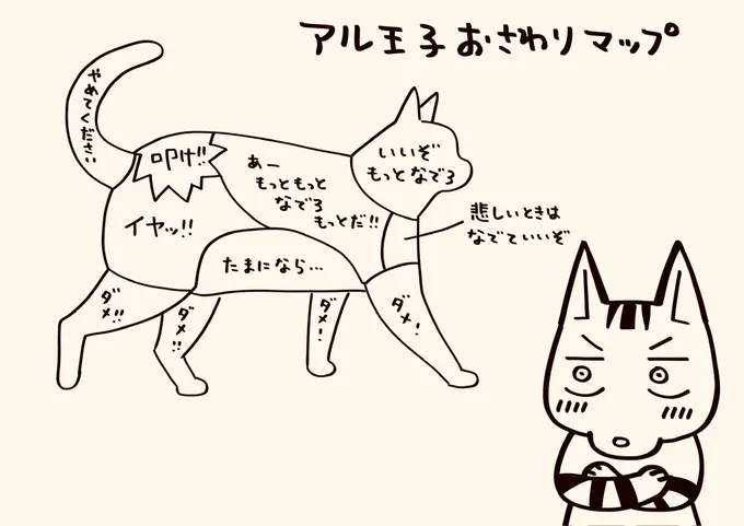 うちの猫のおさわりマップ

#猫が4匹いる暮らし 