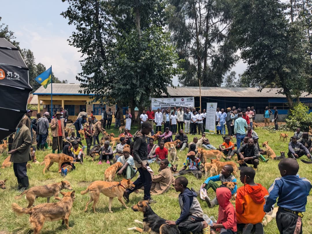RWANDA ANIMAL WELFARE ORGANIZATION tweet media