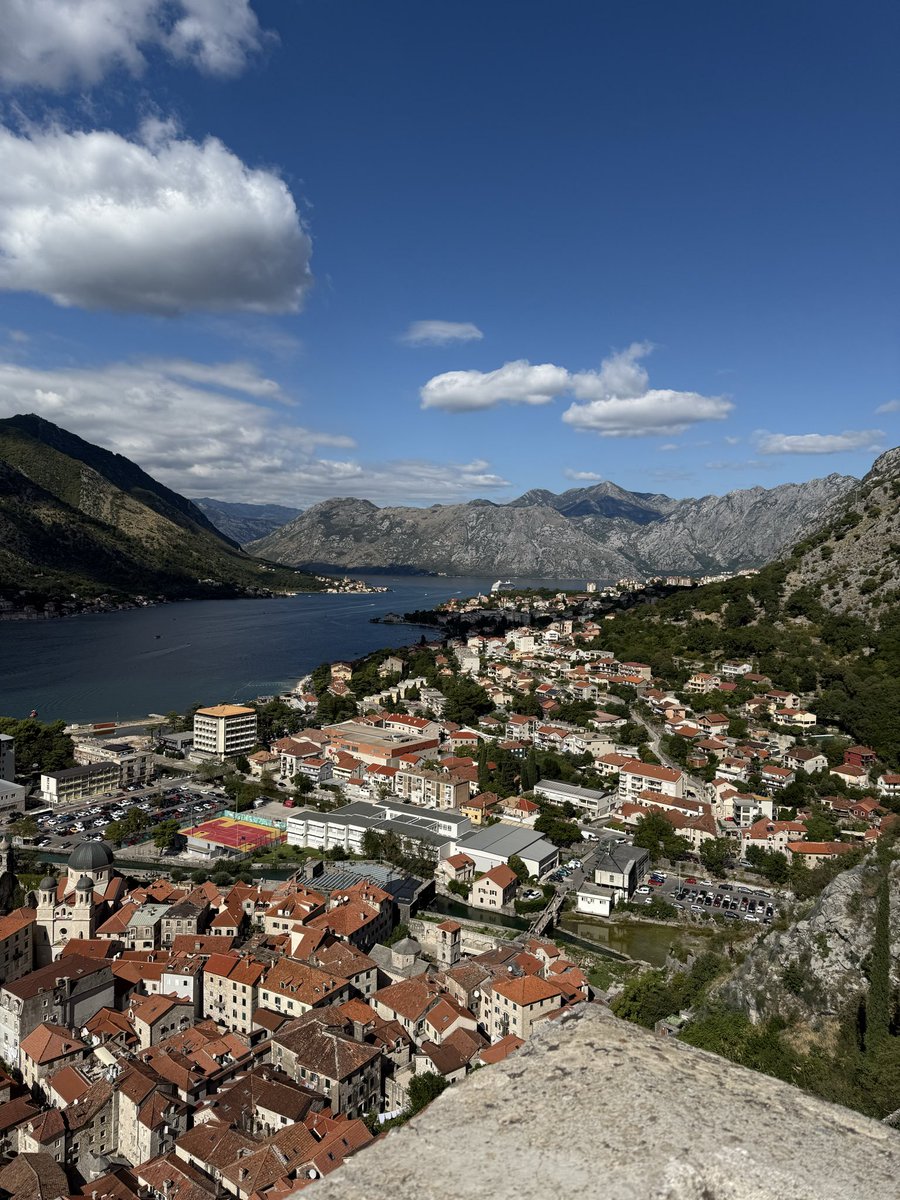 Jenny Meadows tweet media