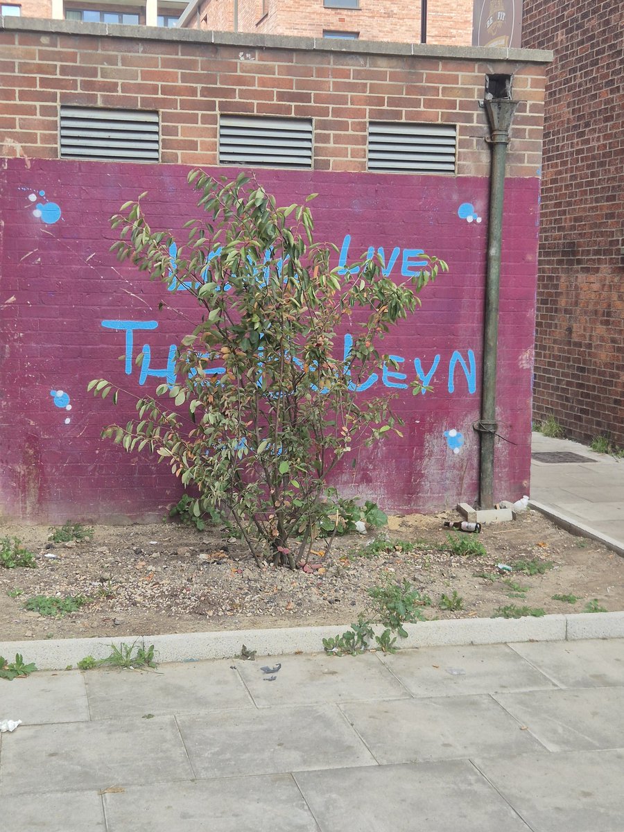 hammers4work's tweet image. #hammersforworkandsupport