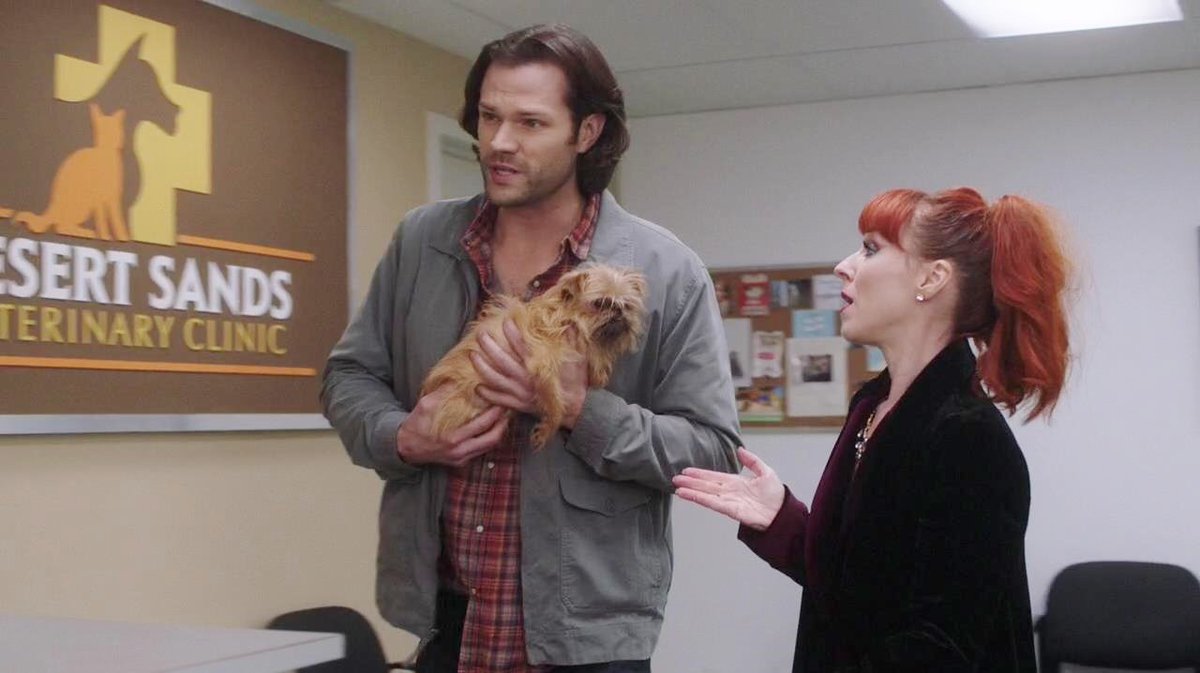 supernatural aesthetic tweet media