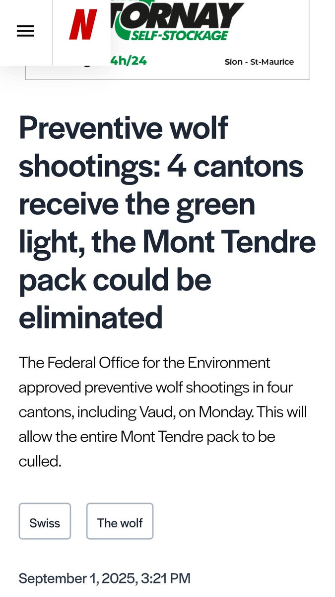 stafpilot's tweet image. Gaat bij ons ook gebeuren. De overlast wordt op een bepaald moment te groot. 

#wolven #wolf #bram