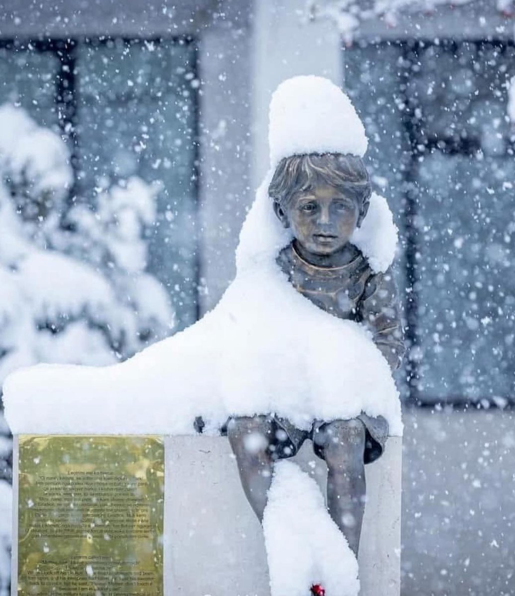FatmirSpahiu's tweet image. Bora e ja paska maru nje plis ne koke Leotrimit, trimit 7 vjecar qe forcat srbe e vrane ne luften e Kosoves. 
Plisi i cili po rrjedhe si nje pelerine si me dashte me mbrojte barkun, pjesen ku Trimi mori plumbin! 

Kurre mos me harru, kurre mos me leju me u perserit!