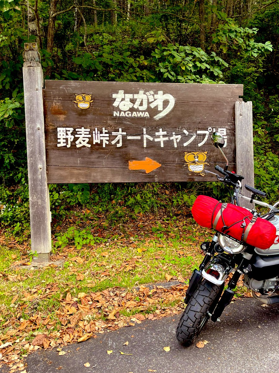 664Tod's tweet photo. 先週、大好きな『野麦峠キャンプ場』に行ってきました🏕️
名物の〝とうじそば〟を食べ、野麦峠に行き、夜は久しぶりにしっかり焚き火を味わえました！
気温10℃での焚き火は最高〜🎶

#モンキー125
#キャンプツーリング
#バイク女子 https://t.co/HTNR0F8PPZ