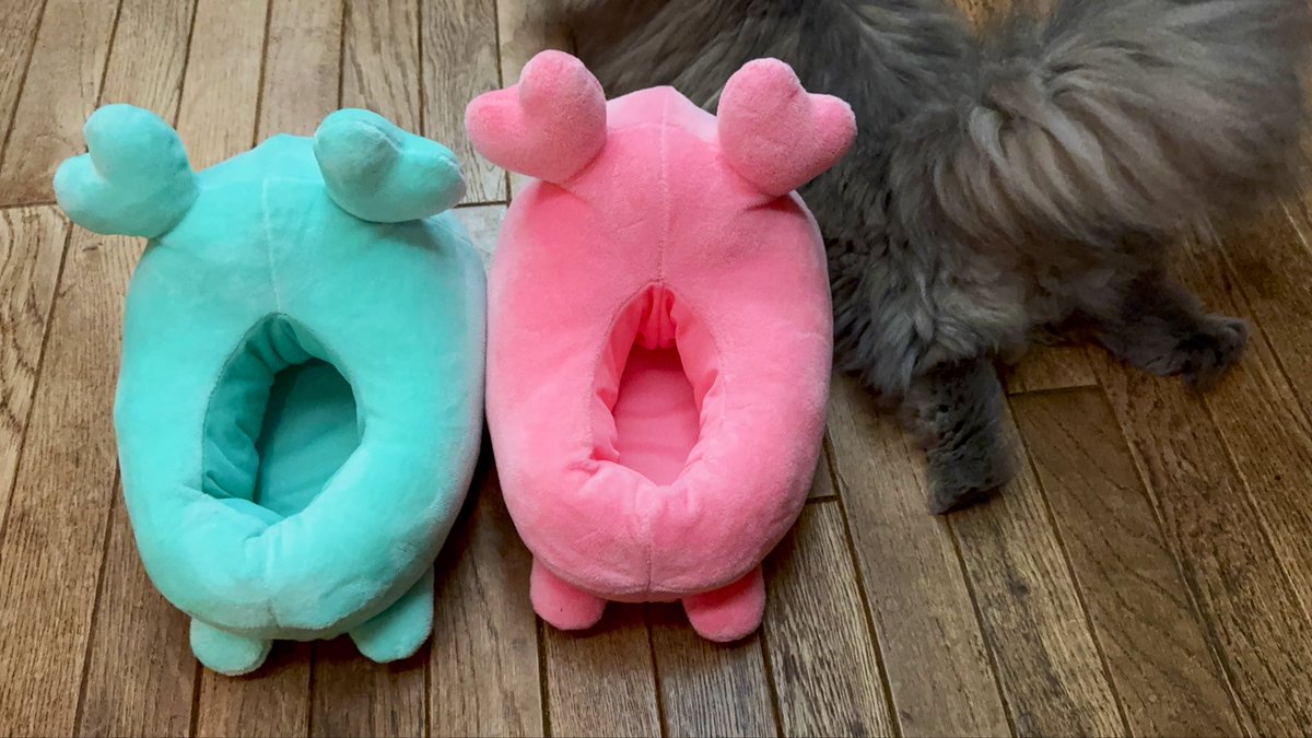 足かわいい☺️🐾