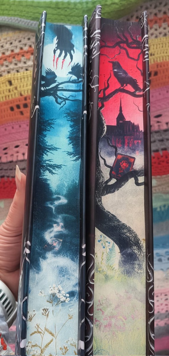 Sam48Bell's tweet image. After playing a game of delivery will they/won't they with Royal Mail for 3 days my @bertsbooks order of Two Twisted Crowns and One Dark Window by Rachel Gillig have been delivered. They are gorgeous and just look at them spredges ❤️