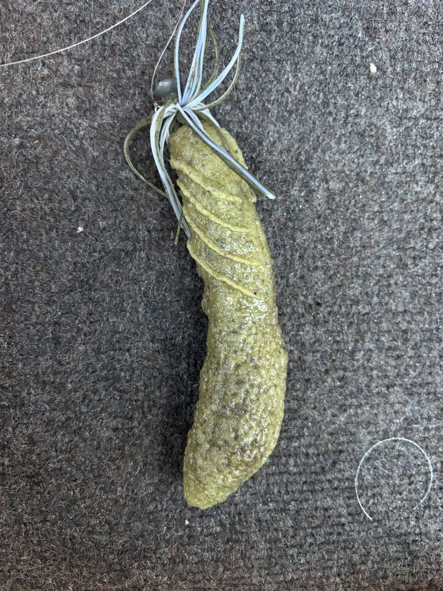 根掛かりしたらヤバいの釣れた！オレのアレより大きいか？#相模湖