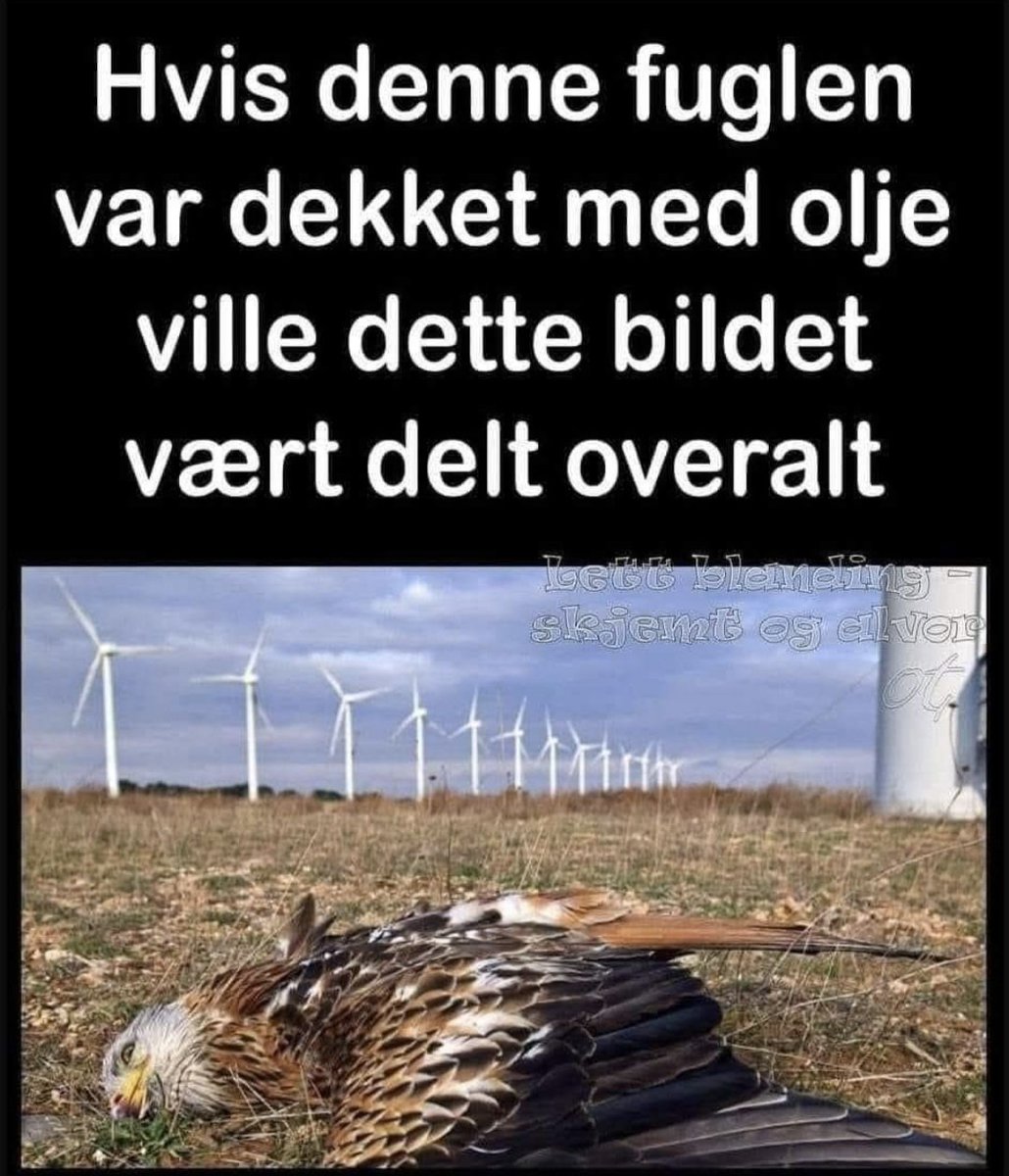 𝐺𝑒𝑖𝑟 𝑀𝑢𝑛𝑐ℎ (@geirmunch) on Twitter photo 