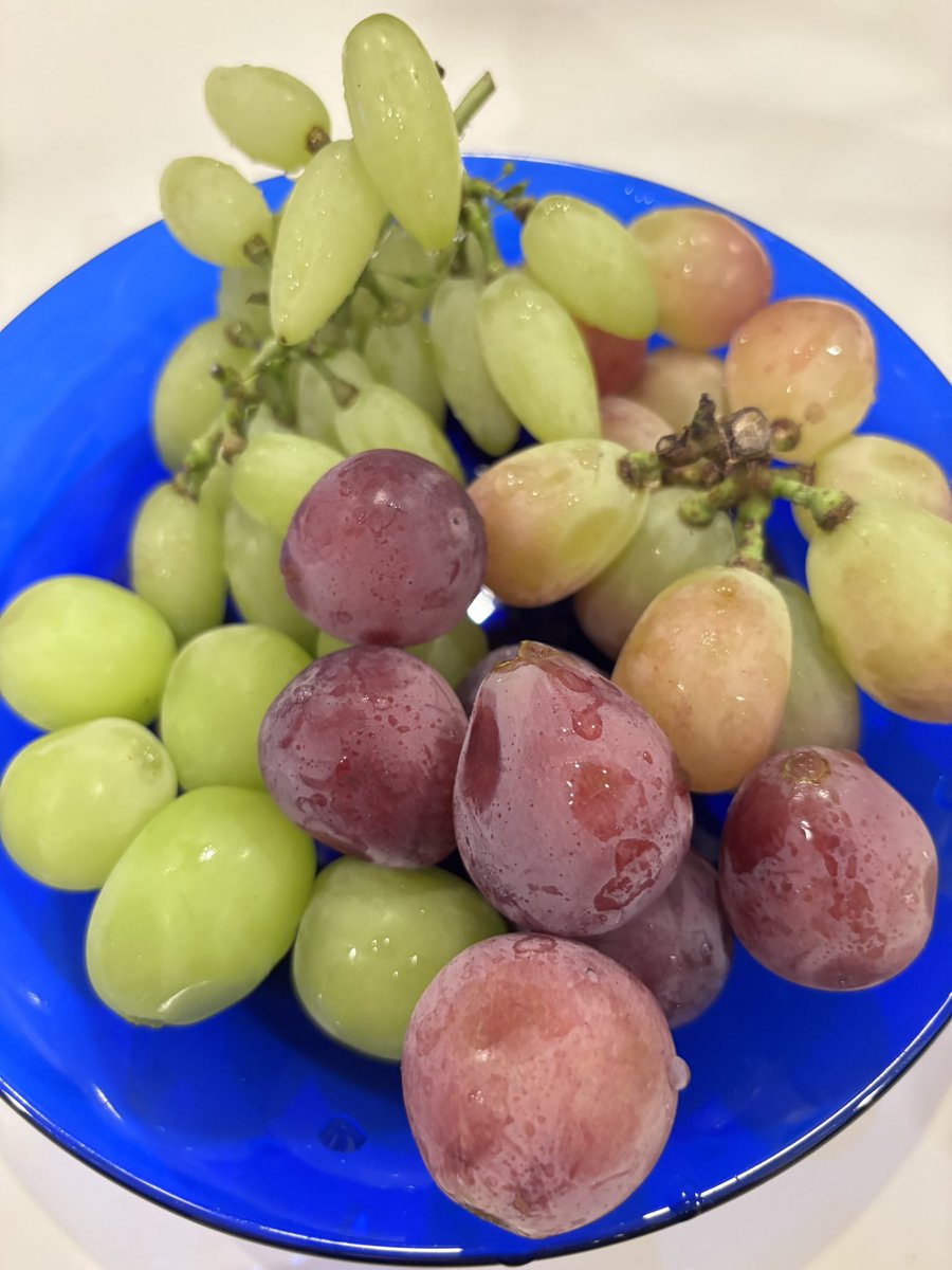 ぶどう4種🍇
ピッテロがおいしい！