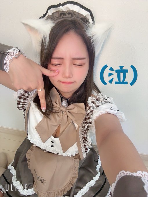 池猫 ~池袋の猫たち~のツイート