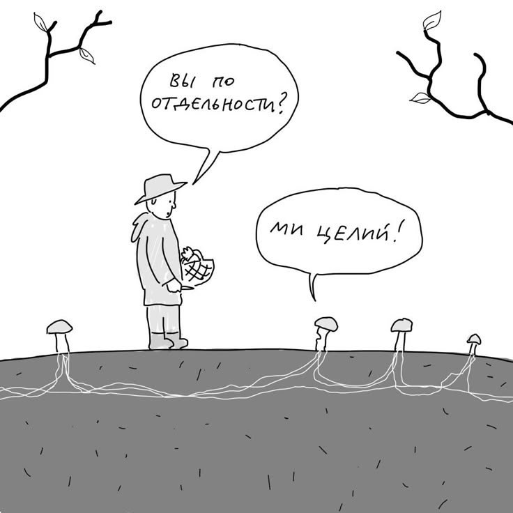 Рыжая ПромискуИПшница tweet media